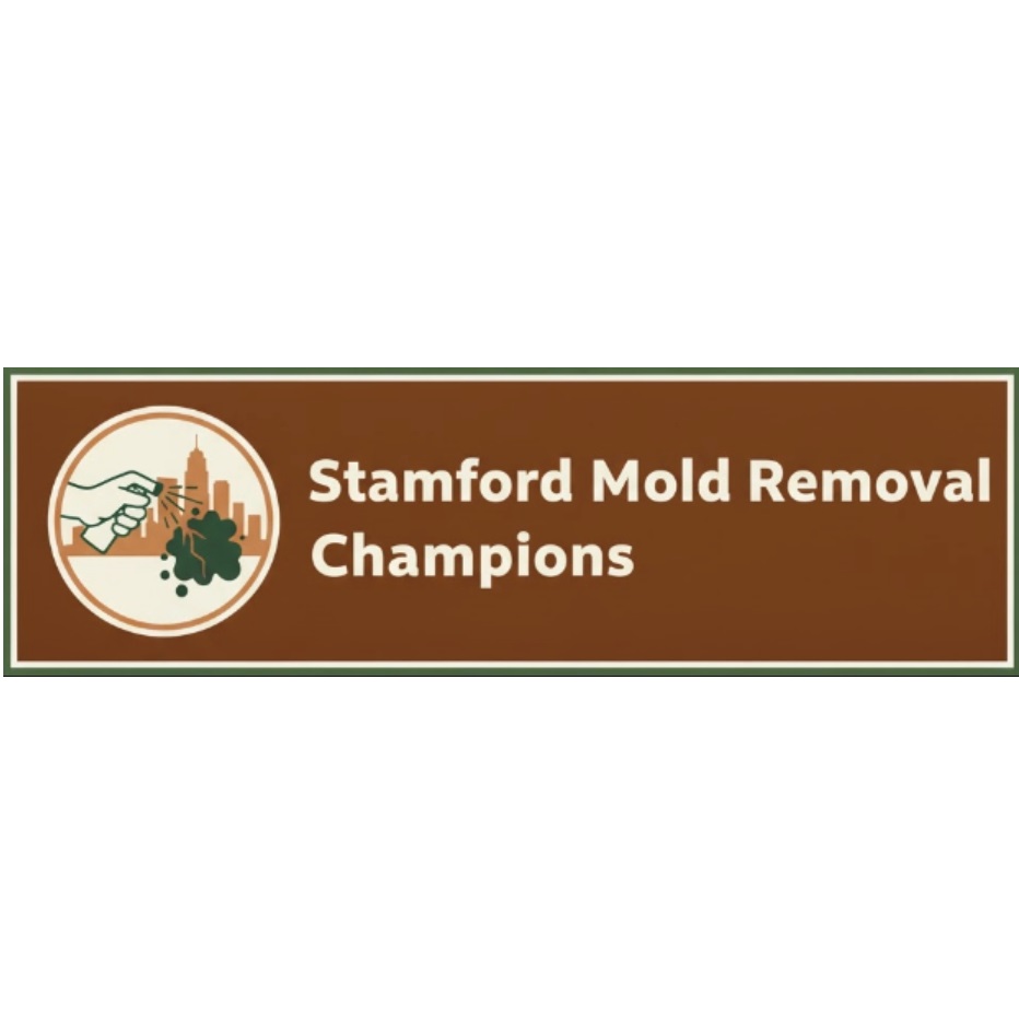 Stamford Mold Removal Champions